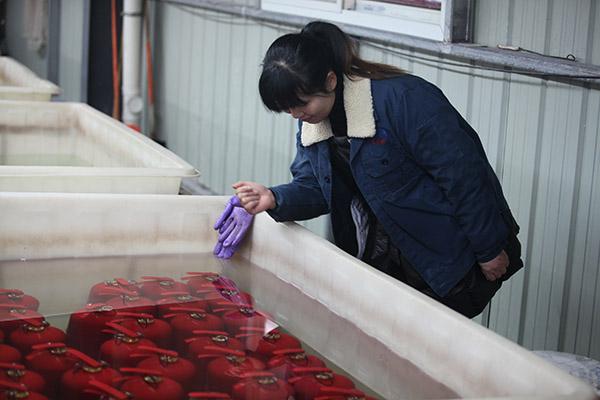 Di facile impiego rosso approvato del CE dell'estintore di ABC 6kg di SAFEWAY DC01 10